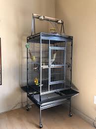 Bird Cages For African Grey Parrots